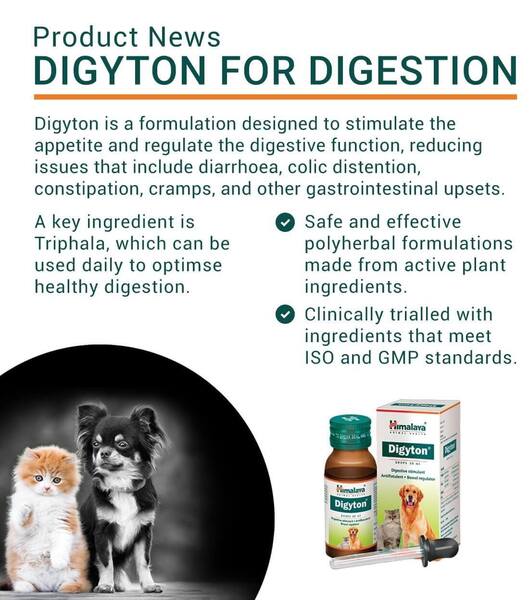 Buy Himalaya Pets - Digyton PLUS Digestive Drops 100ml | Aussie Vet