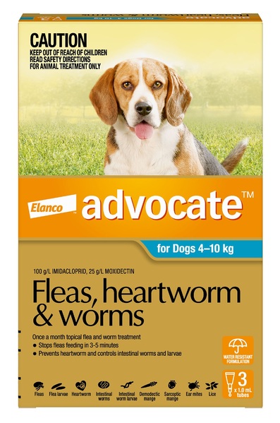 Buy Advocate for Dogs 4 10kg Aqua Fleas Heartworm Worms Aussie Vet Products