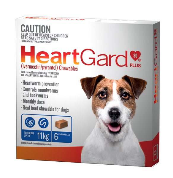 Activyl tick plus sales heartworm