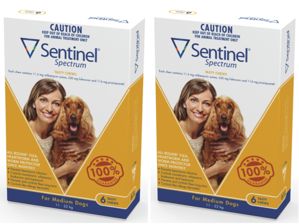 Sentinel spectrum 2025 medium 6 pack