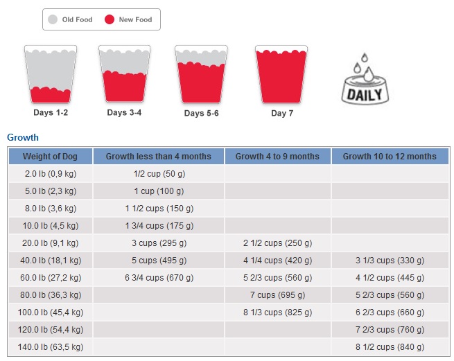 Science Diet Feeding Chart For Dogs Feeding Chart Diet Dog Ingredient Comparison Schedule Pdf