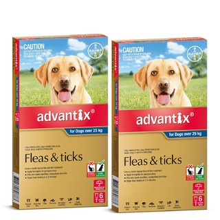 Advantix for Dogs Over 25 kg (Blue) - 12 Pack