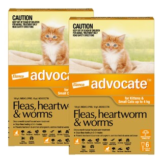 Advocate for Kittens and Small Cats Up to 4kg (Orange) - Fleas, Heartworm & Worms - 12 Pack