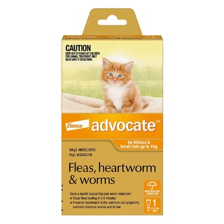 Advocate for Kittens and Small Cats Up to 4kg (Orange) - Fleas, Heartworm & Worms