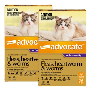 Advocate for Cats Over 4kg (Purple) - Fleas, Heartworm & Worms - 12 Pack