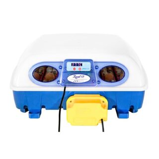 Borotto REAL 49 Automatic Egg Incubator