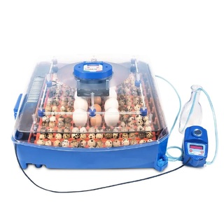 Borotto Lumia 56 Automatic Egg Incubator