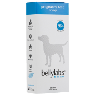 BellyLabs - Pregnancy Test for Dogs