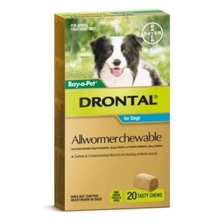 Drontal Allwormer Chewable for Dogs 10kg - 20 Chews