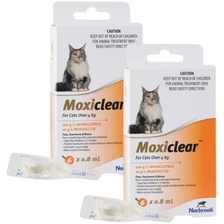 Moxiclear for Cats Over 4kg (Orange) -12pack (Note 2 x 6 packs)