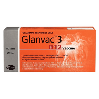 Glanvac 3 Vaccine - B12 500ml