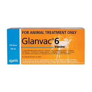 Glanvac 6 Vaccine - 500ml
