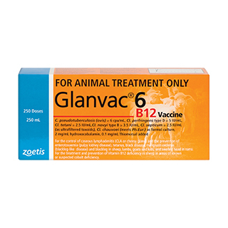 Glanvac 6 B12 Vaccine - 500ml